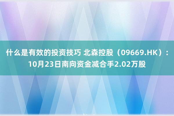 什么是有效的投资技巧 北森控股（09669.HK）：10月23日南向资金减合手2.02万股