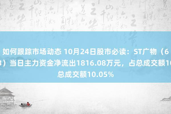 如何跟踪市场动态 10月24日股市必读：ST广物（600603）当日主力资金净流出1816.08万元，占总成交额10.05%