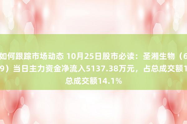 如何跟踪市场动态 10月25日股市必读：圣湘生物（688289）当日主力资金净流入5137.38万元，占总成交额14.1%