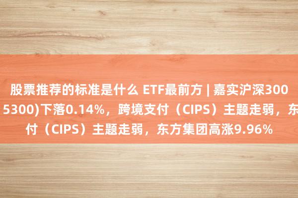 股票推荐的标准是什么 ETF最前方 | 嘉实沪深300红利低波动ETF(515300)下落0.14%，跨境支付（CIPS）主题走弱，东方集团高涨9.96%