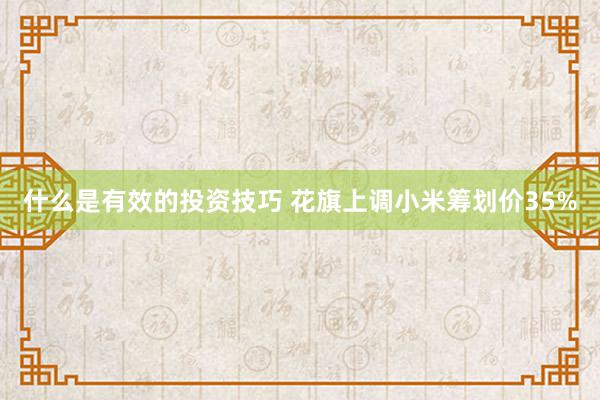 什么是有效的投资技巧 花旗上调小米筹划价35%