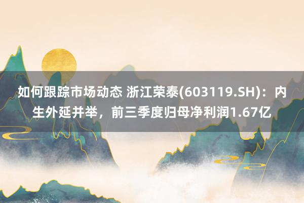 如何跟踪市场动态 浙江荣泰(603119.SH)：内生外延并举，前三季度归母净利润1.67亿