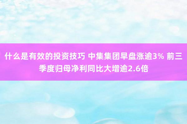 什么是有效的投资技巧 中集集团早盘涨逾3% 前三季度归母净利同比大增逾2.6倍