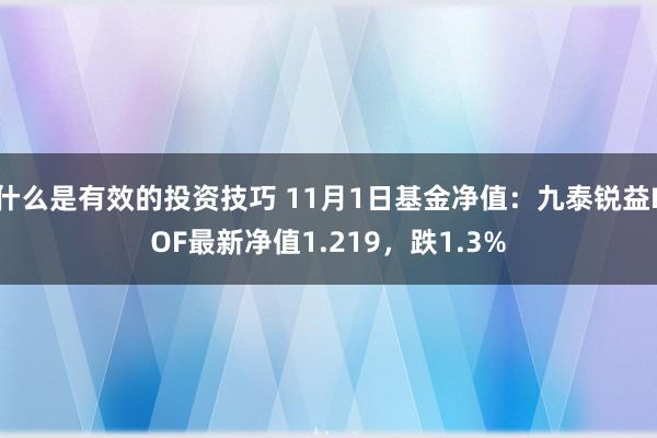 什么是有效的投资技巧 11月1日基金净值：九泰锐益LOF最新净值1.219，跌1.3%