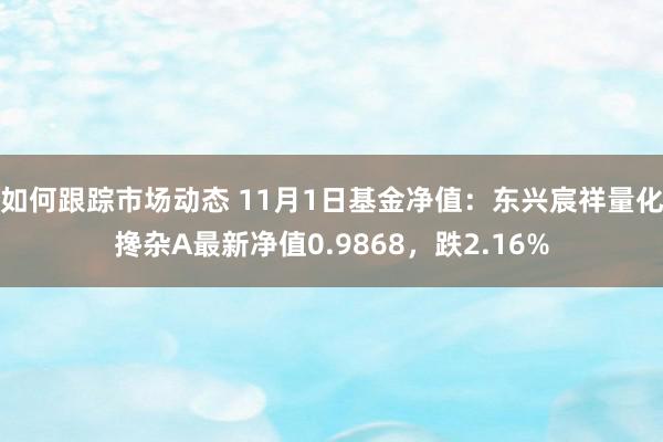 如何跟踪市场动态 11月1日基金净值：东兴宸祥量化搀杂A最新净值0.9868，跌2.16%