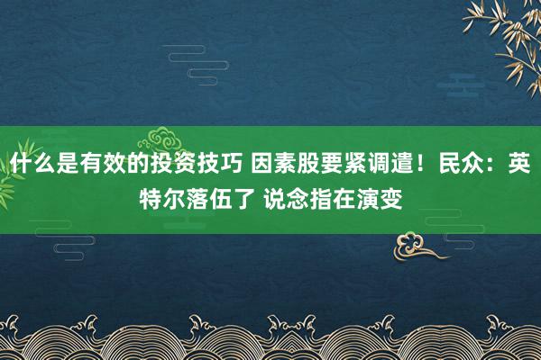 什么是有效的投资技巧 因素股要紧调遣！民众：英特尔落伍了 说念指在演变