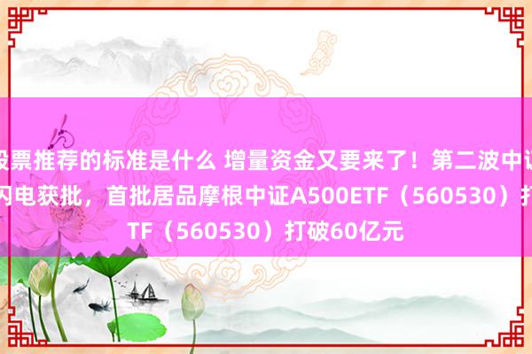 股票推荐的标准是什么 增量资金又要来了！第二波中证A500ETF闪电获批，首批居品摩根中证A500ETF（560530）打破60亿元