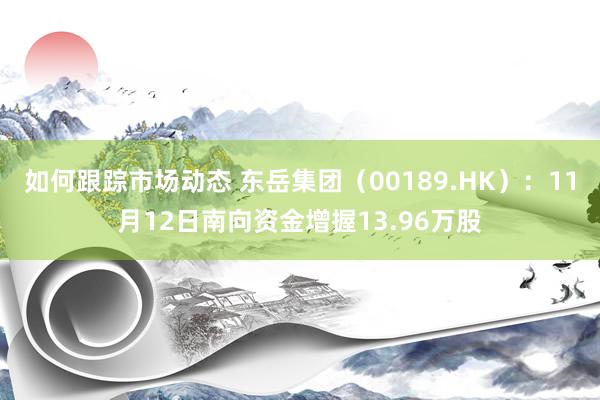 如何跟踪市场动态 东岳集团（00189.HK）：11月12日南向资金增握13.96万股