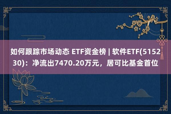 如何跟踪市场动态 ETF资金榜 | 软件ETF(515230)：净流出7470.20万元，居可比基金首位