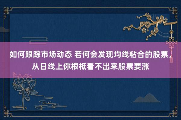 如何跟踪市场动态 若何会发现均线粘合的股票，从日线上你根柢看不出来股票要涨