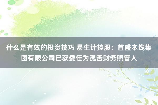 什么是有效的投资技巧 易生计控股：首盛本钱集团有限公司已获委任为孤苦财务照管人