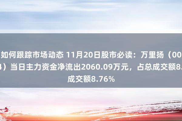 如何跟踪市场动态 11月20日股市必读：万里扬（002434）当日主力资金净流出2060.09万元，占总成交额8.76%