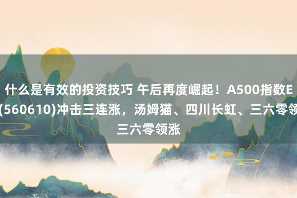 什么是有效的投资技巧 午后再度崛起！A500指数ETF(560610)冲击三连涨，汤姆猫、四川长虹、三六零领涨