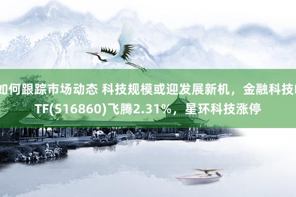 如何跟踪市场动态 科技规模或迎发展新机，金融科技ETF(516860)飞腾2.31%，星环科技涨停