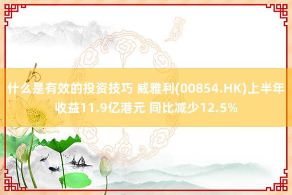 什么是有效的投资技巧 威雅利(00854.HK)上半年收益11.9亿港元 同比减少12.5%