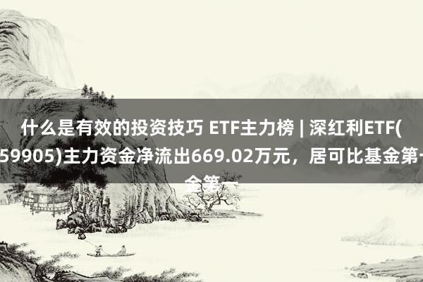 什么是有效的投资技巧 ETF主力榜 | 深红利ETF(159905)主力资金净流出669.02万元，居可比基金第一