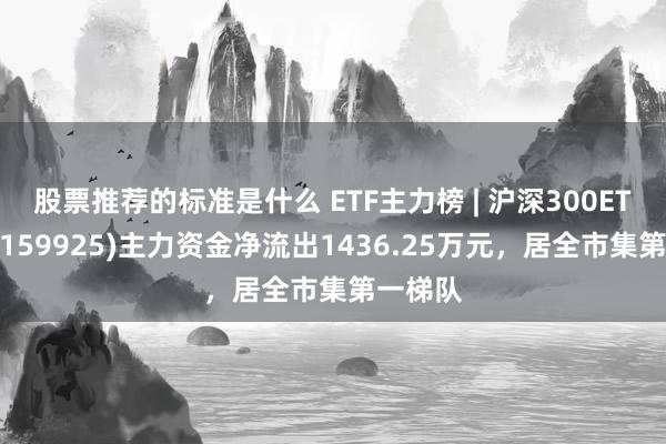 股票推荐的标准是什么 ETF主力榜 | 沪深300ETF南边(159925)主力资金净流出1436.25万元，居全市集第一梯队