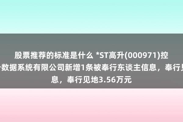 股票推荐的标准是什么 *ST高升(000971)控股的北京高升数据系统有限公司新增1条被奉行东谈主信息，奉行见地3.56万元