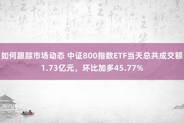 如何跟踪市场动态 中证800指数ETF当天总共成交额1.73亿元，环比加多45.77%