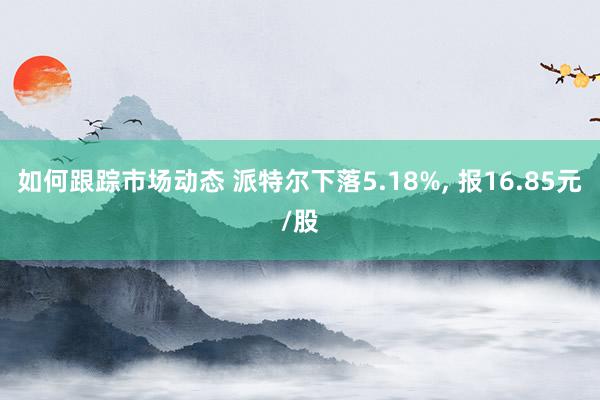 如何跟踪市场动态 派特尔下落5.18%, 报16.85元/股