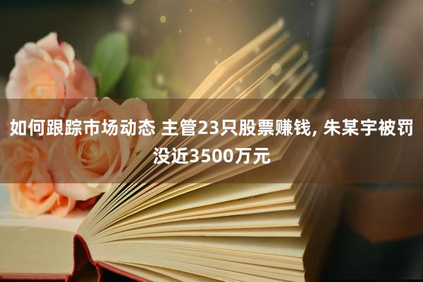 如何跟踪市场动态 主管23只股票赚钱, 朱某宇被罚没近3500万元