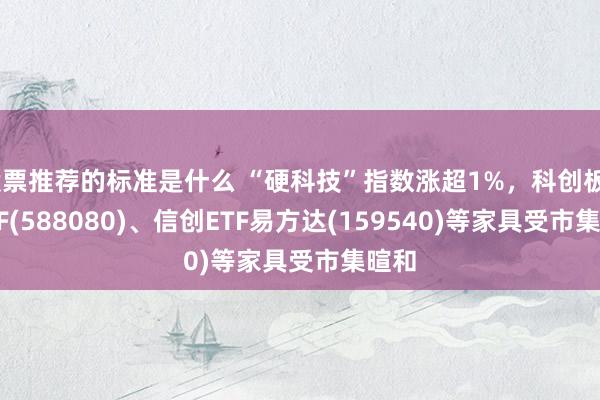 股票推荐的标准是什么 “硬科技”指数涨超1%，科创板50ETF(588080)、信创ETF易方达(159540)等家具受市集暄和