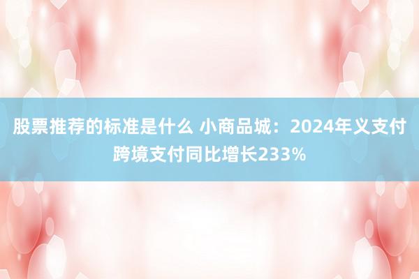 股票推荐的标准是什么 小商品城：2024年义支付跨境支付同比增长233%