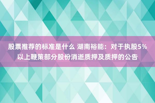 股票推荐的标准是什么 湖南裕能：对于执股5%以上鞭策部分股份消逝质押及质押的公告