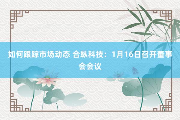 如何跟踪市场动态 合纵科技：1月16日召开董事会会议