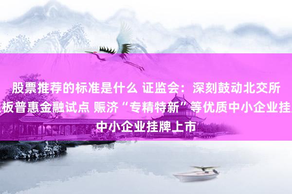 股票推荐的标准是什么 证监会：深刻鼓动北交所、新三板普惠金融试点 赈济“专精特新”等优质中小企业挂牌上市