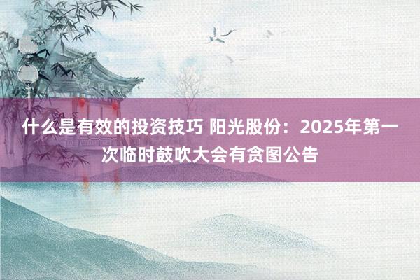 什么是有效的投资技巧 阳光股份：2025年第一次临时鼓吹大会有贪图公告