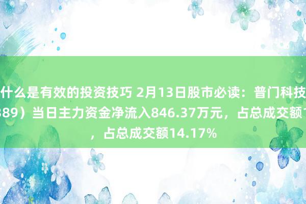 什么是有效的投资技巧 2月13日股市必读：普门科技（688389）当日主力资金净流入846.37万元，占总成交额14.17%