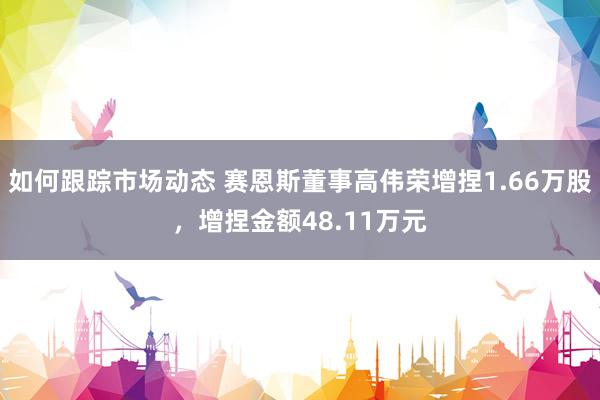 如何跟踪市场动态 赛恩斯董事高伟荣增捏1.66万股，增捏金额48.11万元