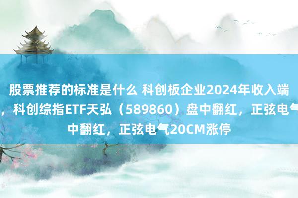 股票推荐的标准是什么 科创板企业2024年收入端优于利润端，科创综指ETF天弘（589860）盘中翻红，正弦电气20CM涨停