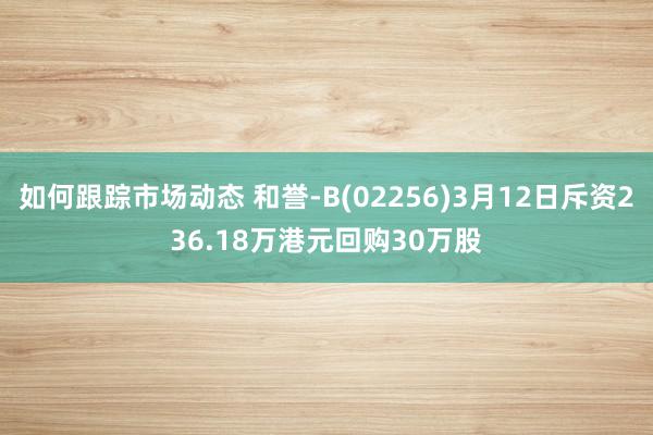 如何跟踪市场动态 和誉-B(02256)3月12日斥资236.18万港元回购30万股