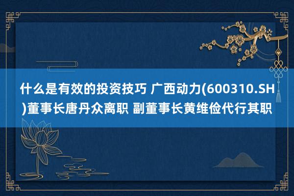 什么是有效的投资技巧 广西动力(600310.SH)董事长唐丹众离职 副董事长黄维俭代行其职