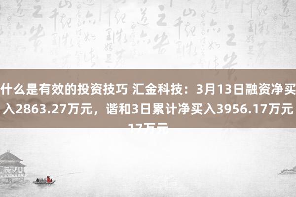 什么是有效的投资技巧 汇金科技：3月13日融资净买入2863.27万元，谐和3日累计净买入3956.17万元