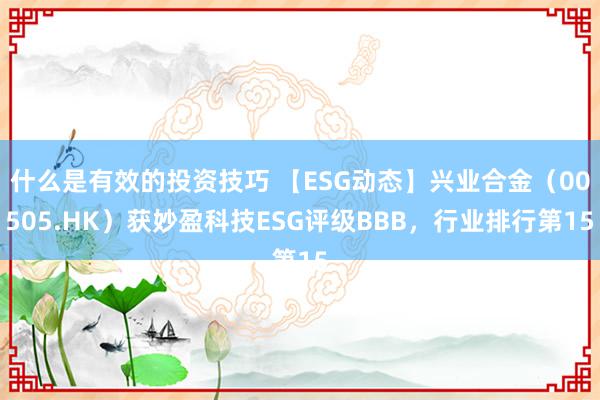 什么是有效的投资技巧 【ESG动态】兴业合金（00505.HK）获妙盈科技ESG评级BBB，行业排行第15