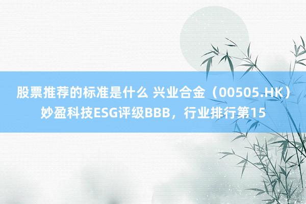 股票推荐的标准是什么 兴业合金（00505.HK）妙盈科技ESG评级BBB，行业排行第15