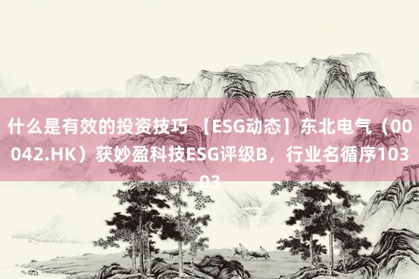 什么是有效的投资技巧 【ESG动态】东北电气（00042.HK）获妙盈科技ESG评级B，行业名循序103